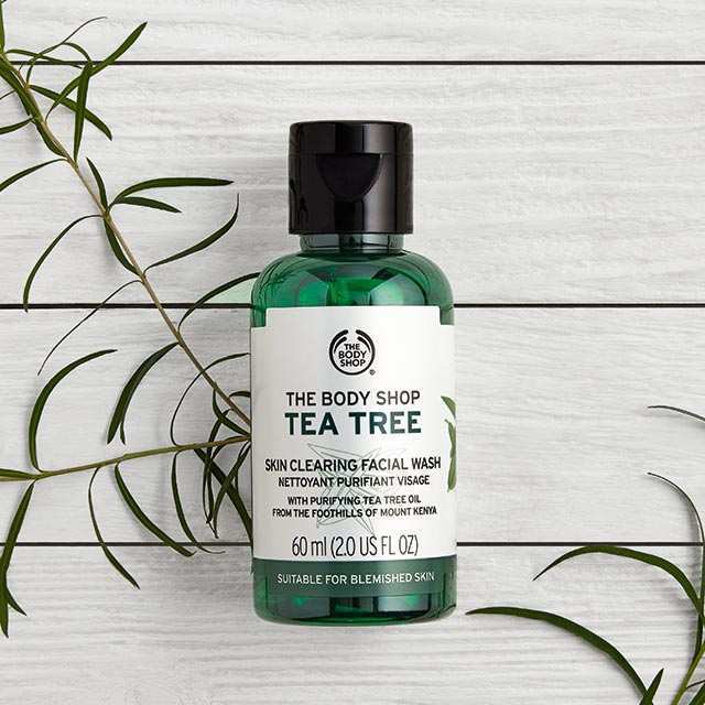 Tea Tree 